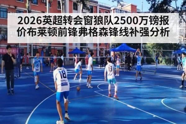 2026英超转会窗狼队2500万镑报价布莱顿前锋弗格森锋线补强分析